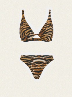 Bikini Vita-Tiger