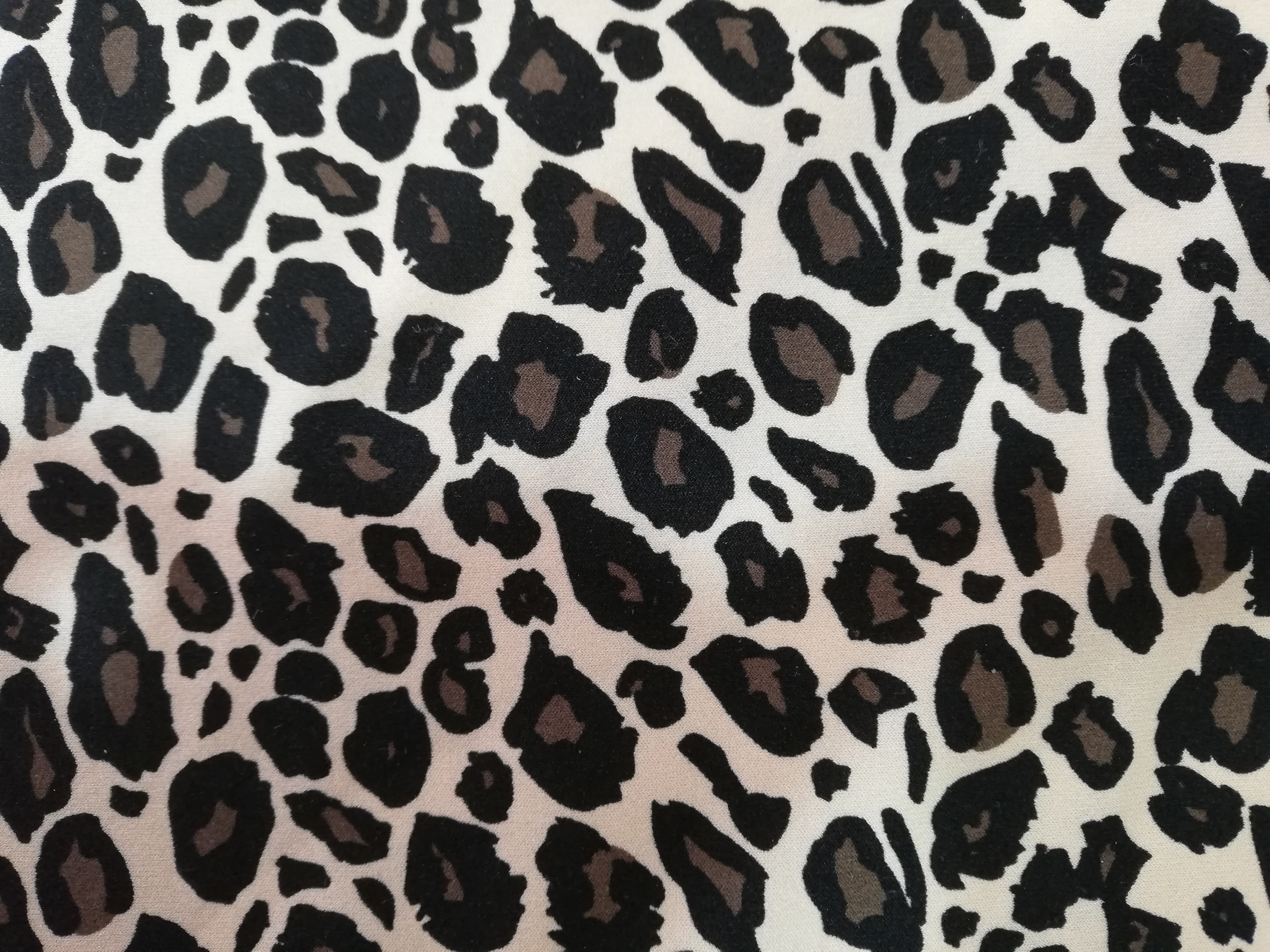 Animal print 